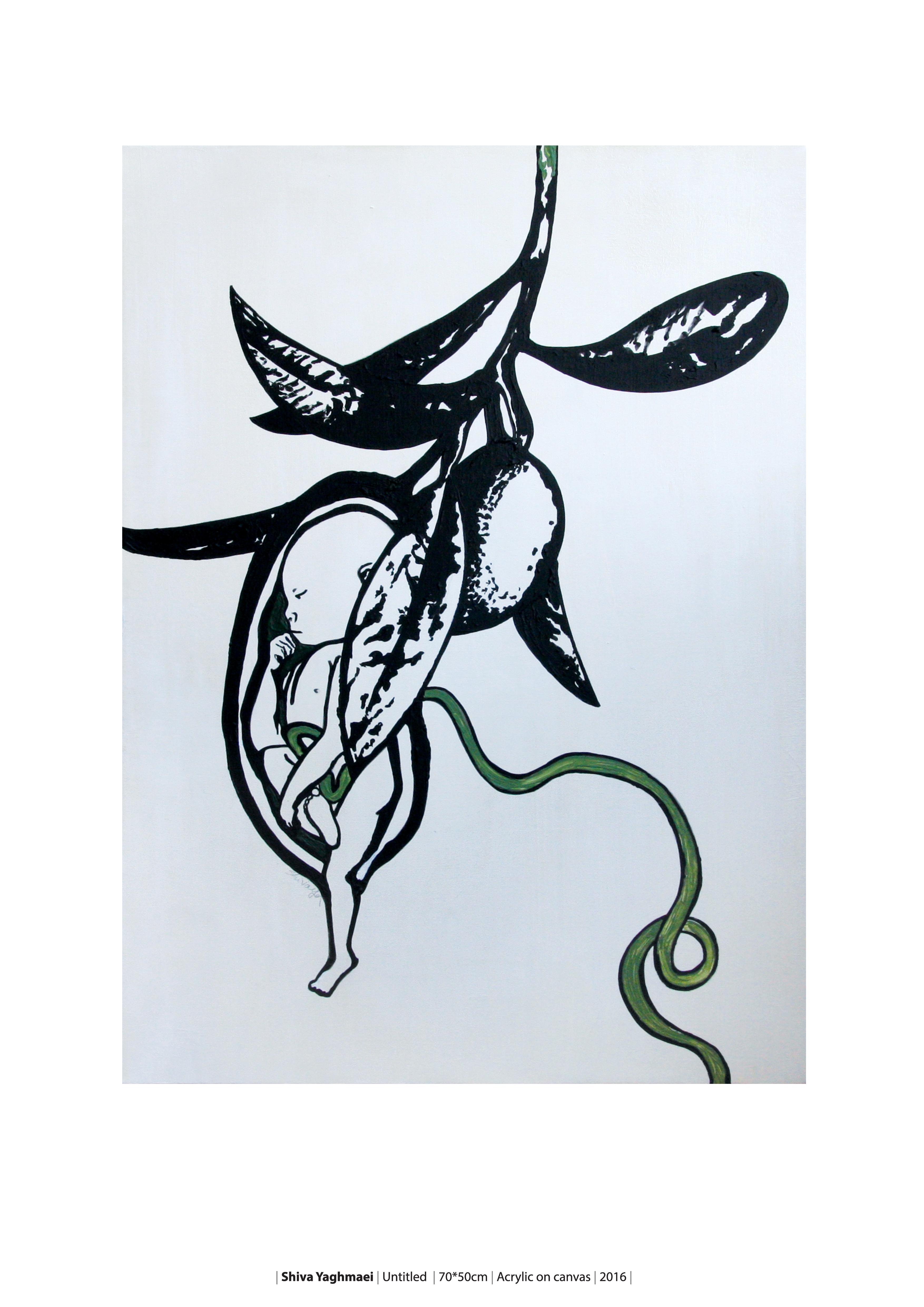 Art For Pesce Festival 2016