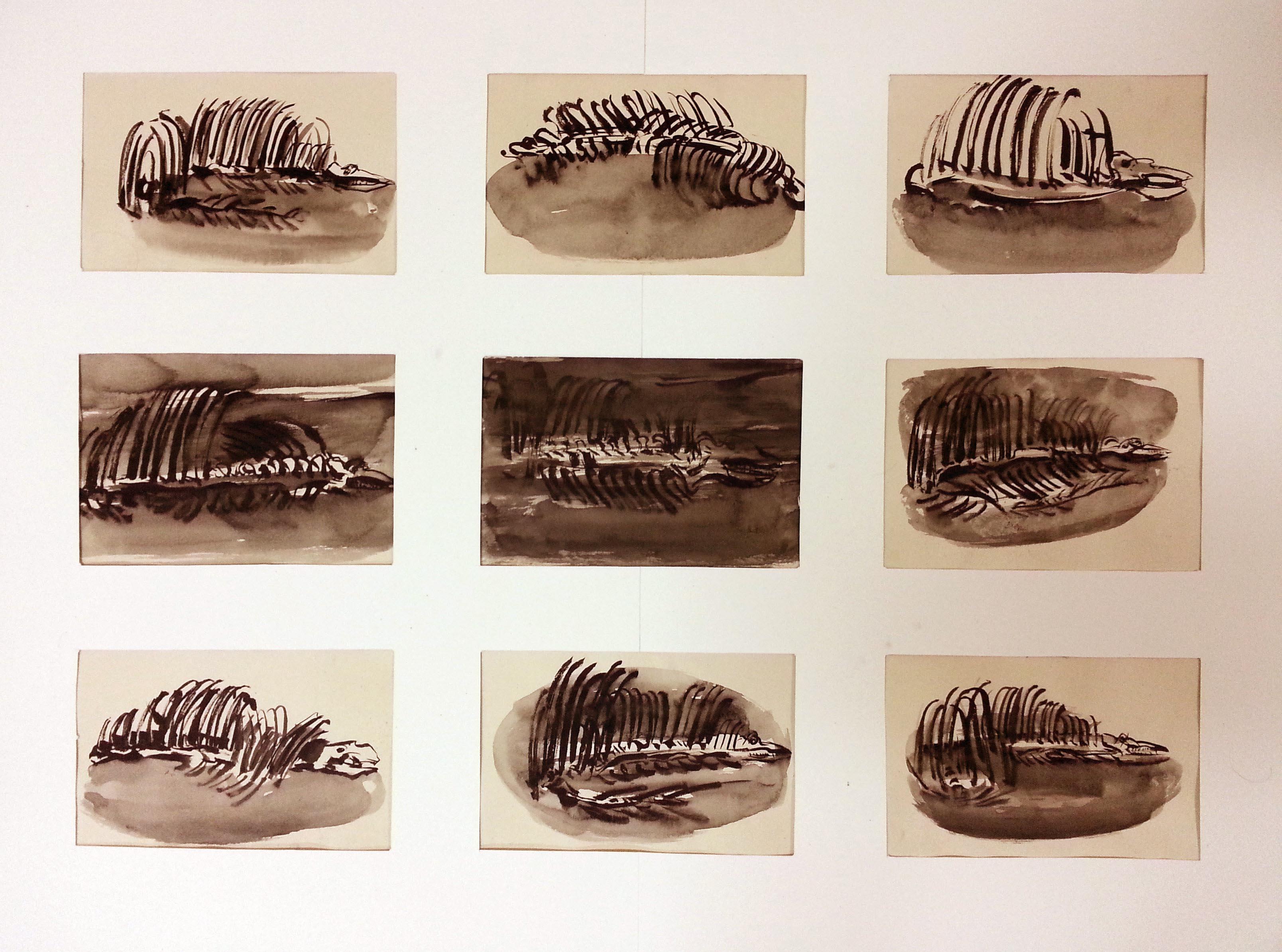 ink drawings