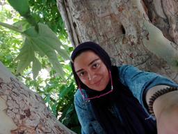 Somayyeh Arabinejad